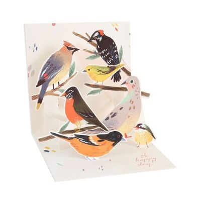 Tarjeta de felicitación en capas con pájaros del patio trasero (10638)