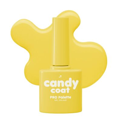 Paleta Candy Coat PRO - Verano - Nº 251