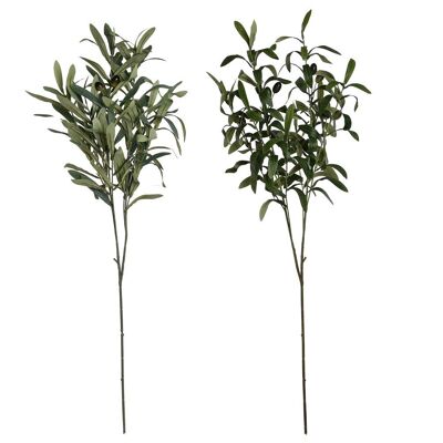 PE BRANCH 30X30X90 OLIVE TREE 2 SURT. JA211352