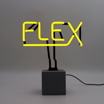 Enseigne Néon 'Flex' - Jaune 2