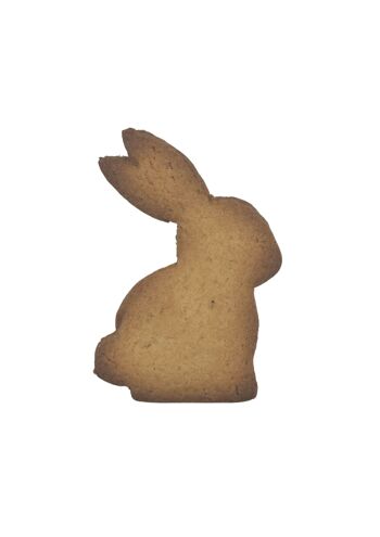 Pâques: Biscuit "les lapins à croquer" nature et chocolat 2
