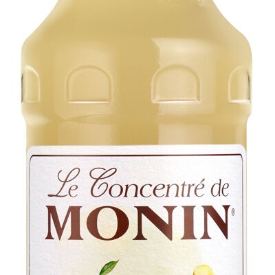 MONIN Ginger Concentrate for cold drinks for Mother's Day - Natural flavors - 70 cl