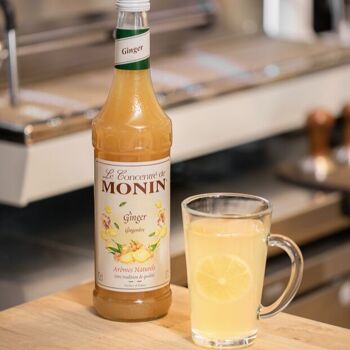 Concentré de Gingembre MONIN pour cocktail et limonade - Arômes naturels - 70 cl 3