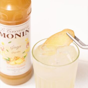 Concentré de Gingembre MONIN pour cocktail et limonade - Arômes naturels - 70 cl 5