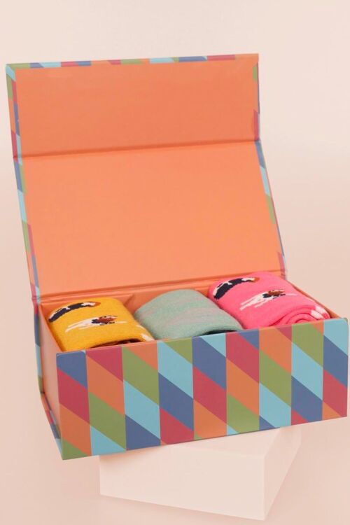 Womens Bamboo Dog Socks Beagle Ankle Socks Floral Gift Box Set