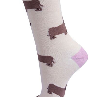 Calcetines tobilleros de bambú para mujer, diseño de perro salchicha, color crema y rosa