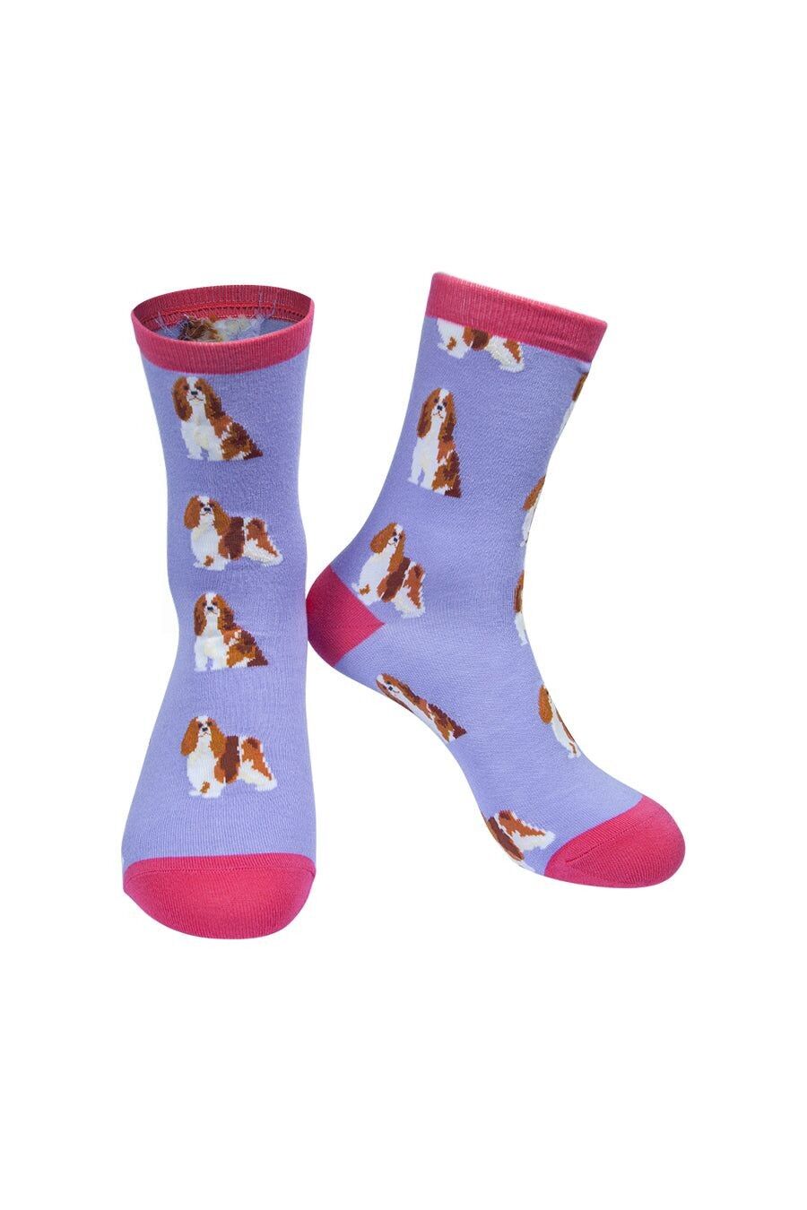 Damen-Hundesocken aus Bambus, Cavalier King Charles Spaniel, Rosa-Flieder