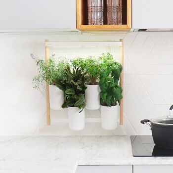 MODULO 2, potager d'intérieur connecté Prêt à pousser, façon mur végétal ou à poser - pour plantes, fleurs et aromates , décoration végétale, lampe horticole, lumière LED 1