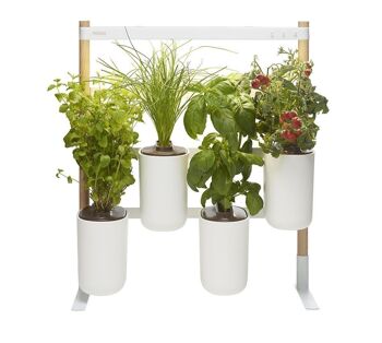 MODULO 2, potager d'intérieur connecté Prêt à pousser, façon mur végétal ou à poser - pour plantes, fleurs et aromates , décoration végétale, lampe horticole, lumière LED 4