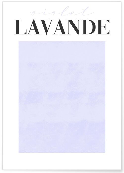 Affiche Violet Lavande