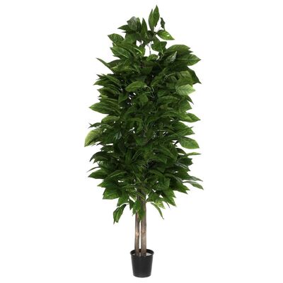 ARBRE BOIS POLYESTER 90X90X180 MANCHE VERT JA211394