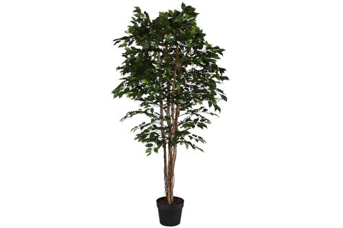 Arbol Pe 100X100X210 Ficus Verde JA212499