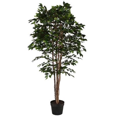 Arbol Pe 100X100X210 Ficus Verde JA212499