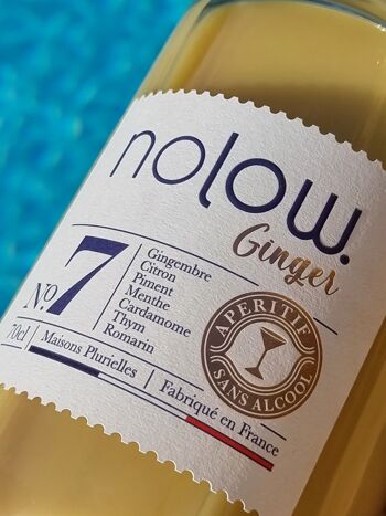 Nolow Spirit Free- Ginger N°7- Boisson sans alcool à base de Gingembre, citron, Piment, Menthe, Cardamone Thym & Romarin-700 ml-Made in France 2