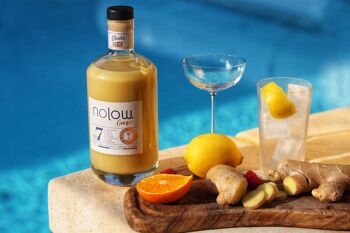 Nolow Spirit Free- Ginger N°7- Boisson sans alcool à base de Gingembre, citron, Piment, Menthe, Cardamone Thym & Romarin-700 ml-Made in France 7