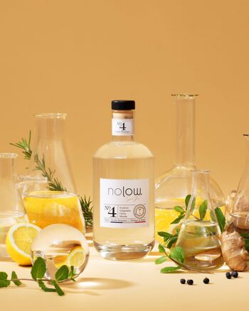 Nolow Spirit Free distillat botanique N°4 - Gin sans Alcool - sans sucres - bouteille de 70cl 1