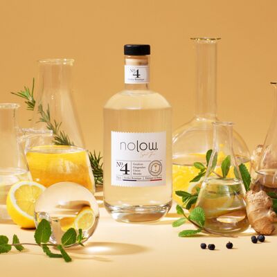 Nolow Spirit Free distillat botanique N°4 - Gin sans Alcool - sans sucres - bouteille de 70cl