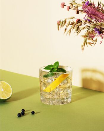 Nolow Spirit Free distillat botanique N°4 - Gin sans Alcool - sans sucres - bouteille de 70cl 5