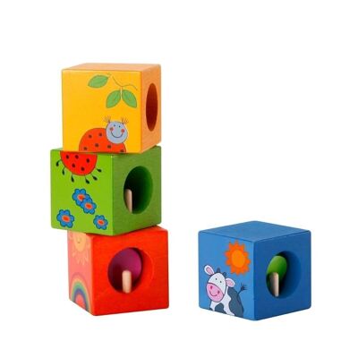 Discovery Cubes Animals