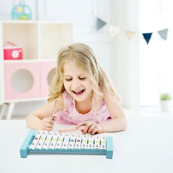 Xylophone Toucan - instruments de musique pour enfants 2