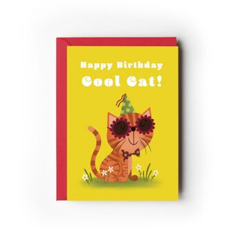 Pack de 6 cartes d'anniversaire Cool Cat 1
