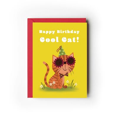 Paquete de 6 tarjetas de cumpleaños de Cool Cat