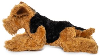 Airedale Terrier, couché - 43 cm (longueur) - Mots clés : chien, animal de compagnie, peluche, peluche, peluche, peluche 3