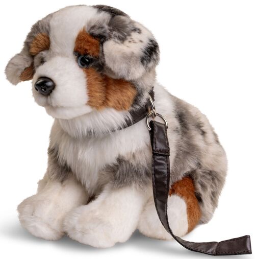 Australischer Schäferhund Welpe, sitzend (mit Leine) - 22 cm (Höhe) - Keywords: Hund, Haustier, Plüsch, Plüschtier, Stofftier, Kuscheltier