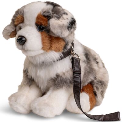 Cachorro de pastor australiano, sentado (con correa) - 22 cm (altura) - Palabras clave: perro, mascota, peluche, peluche, peluche, peluche