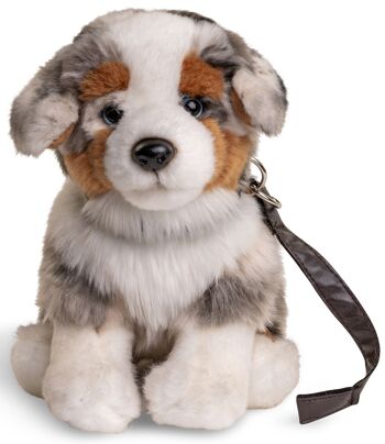 Chiot berger australien, assis (avec laisse) - 22 cm (hauteur) - Mots clés : chien, animal de compagnie, peluche, peluche, peluche, peluche 2