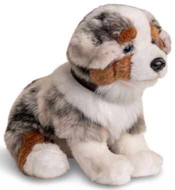 Chiot berger australien, assis (avec laisse) - 22 cm (hauteur) - Mots clés : chien, animal de compagnie, peluche, peluche, peluche, peluche 3