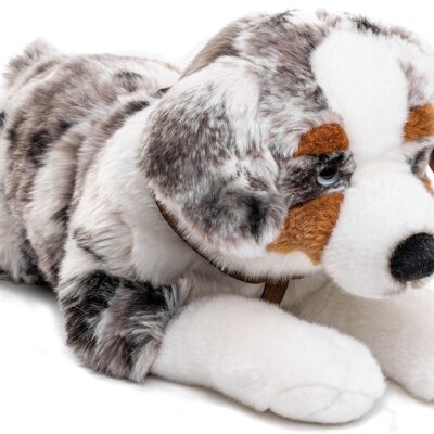 Chien de berger australien, couché (avec harnais) - 63 cm (longueur) - Mots clés : chien, animal de compagnie, peluche, peluche, peluche, peluche