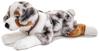 Chien de berger australien, couché (avec harnais) - 63 cm (longueur) - Mots clés : chien, animal de compagnie, peluche, peluche, peluche, peluche 3