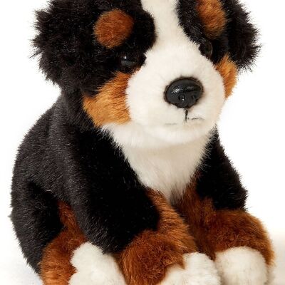 Bernese Mountain Dog Puppy, sitting - 15 cm (height) - Keywords: dog, pet, plush, plush toy, stuffed toy, cuddly toy