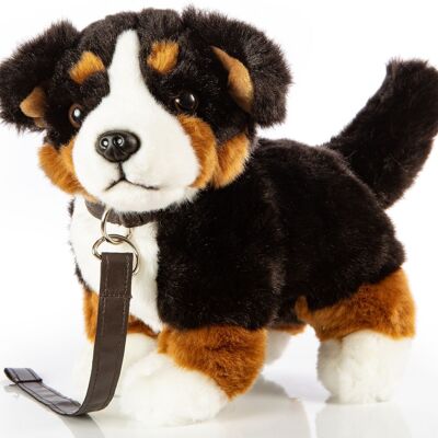 Berner Sennenhund, stehend (mit Leine) - 27 cm (Länge) - Keywords: Hund, Haustier, Plüsch, Plüschtier, Stofftier, Kuscheltier