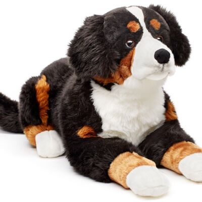 Berner Sennenhund, liegend - 70 cm (Länge) - Keywords: Hund, Haustier, Plüsch, Plüschtier, Stofftier, Kuscheltier