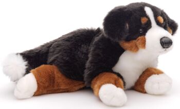 Bouvier bernois, couché - 46 cm (longueur) - Mots clés : chien, animal de compagnie, peluche, peluche, peluche, peluche 4