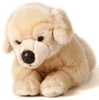 Golden Retriever, couché - 43 cm (longueur) - Mots clés : chien, animal de compagnie, peluche, peluche, peluche, peluche 2