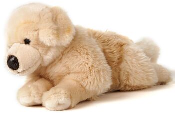 Golden Retriever, couché - 43 cm (longueur) - Mots clés : chien, animal de compagnie, peluche, peluche, peluche, peluche 4