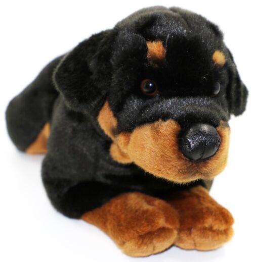 Rottweiler, liegend - 45 cm (Länge) - Keywords: Hund, Haustier, Plüsch, Plüschtier, Stofftier, Kuscheltier