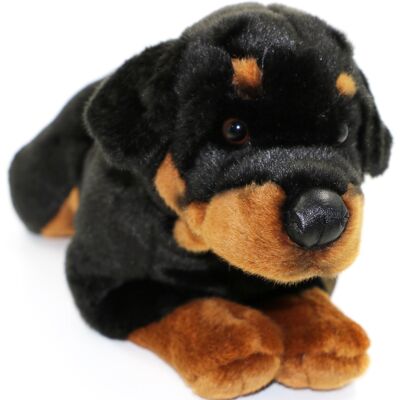 Rottweiler, sdraiato - 45 cm (lunghezza) - Parole chiave: cane, animale domestico, peluche, peluche, animale di peluche, peluche