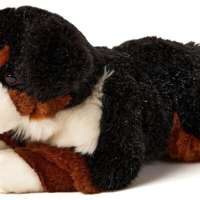 Berner Sennenhund, liegend - 29 cm (Länge) - Keywords: Hund, Haustier, Plüsch, Plüschtier, Stofftier, Kuscheltier