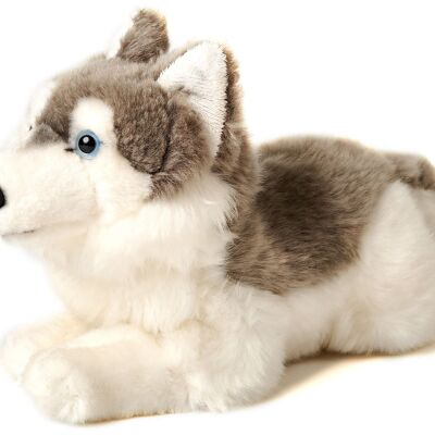 Husky gris, acostado - 31 cm (largo) - Palabras clave: perro, mascota, peluche, peluche, animal de peluche, peluche