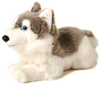 Husky gris, couché - 31 cm (longueur) - Mots clés : chien, animal de compagnie, peluche, peluche, peluche, peluche 1