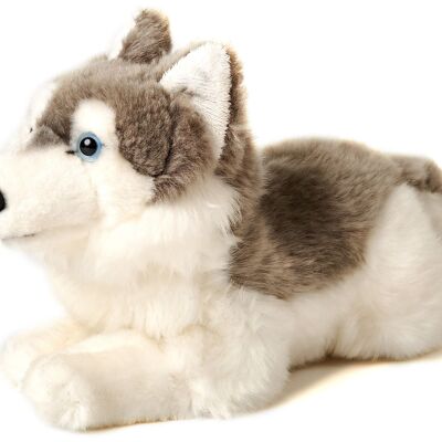 Husky grau, liegend - 31 cm (Länge) - Keywords: Hund, Haustier, Plüsch, Plüschtier, Stofftier, Kuscheltier