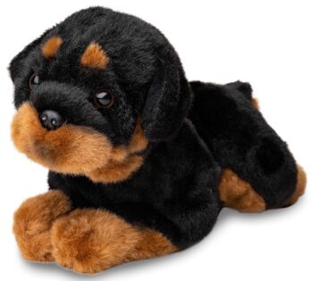 Rottweiler, couché - 30 cm (longueur) - Mots clés : chien, animal de compagnie, peluche, peluche, peluche, peluche 1