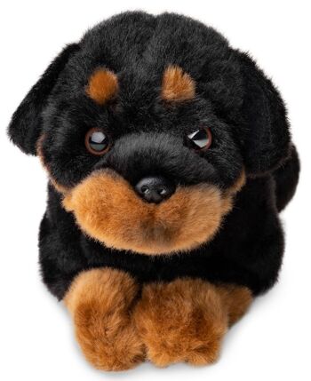 Rottweiler, couché - 30 cm (longueur) - Mots clés : chien, animal de compagnie, peluche, peluche, peluche, peluche 2