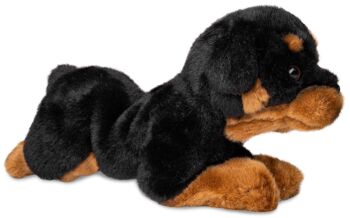 Rottweiler, couché - 30 cm (longueur) - Mots clés : chien, animal de compagnie, peluche, peluche, peluche, peluche 3