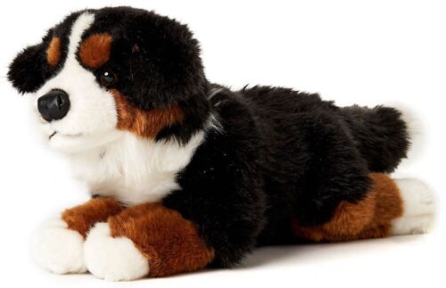 Berner Sennenhund, liegend - 38 cm (Länge) - Keywords: Hund, Haustier, Plüsch, Plüschtier, Stofftier, Kuscheltier