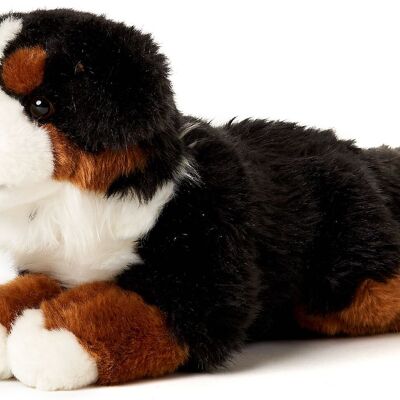 Berner Sennenhund, liegend - 38 cm (Länge) - Keywords: Hund, Haustier, Plüsch, Plüschtier, Stofftier, Kuscheltier